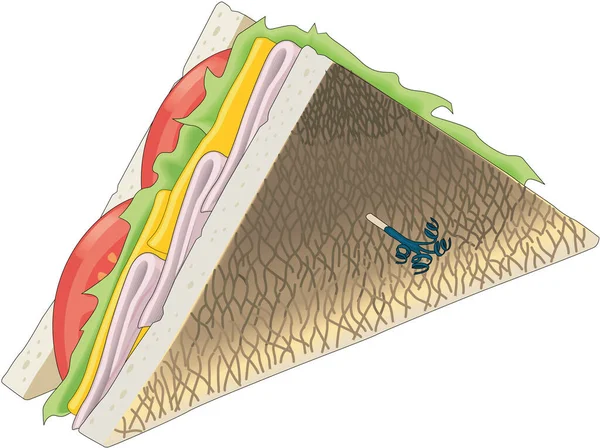 Club Sandwich矢量图解 — 图库矢量图片