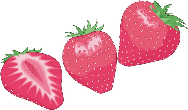 Ilustrasi Vektor Strawberry Segar - Stok Vektor