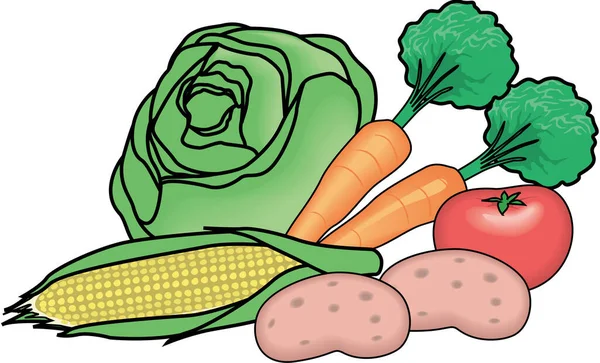 Grupo Alimentación Vegetal Ilustración Vectorial — Archivo Imágenes Vectoriales