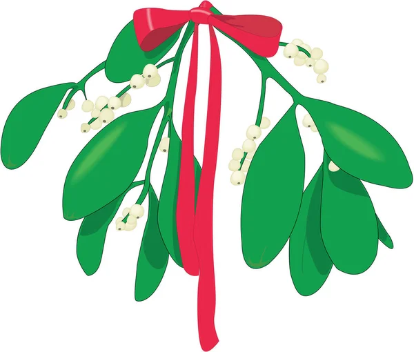 Mistletoe Deixa Ilustração Vetorial — Vetor de Stock