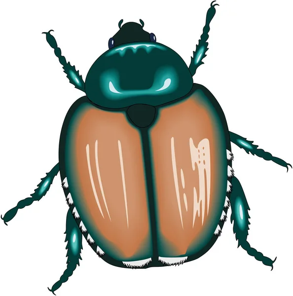Escarabajo Japonés Vector Ilustración — Vector de stock