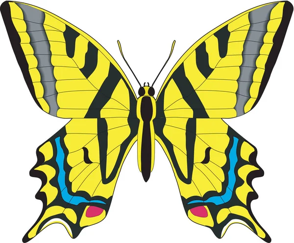 Slikstaart Vlinder Vector Illustratie — Stockvector