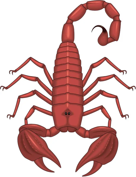 Scorpion Standing Vector Illustration — Stock Vector