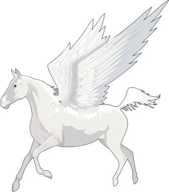 Pegasus Uçan Vektör İllüstrasyonu