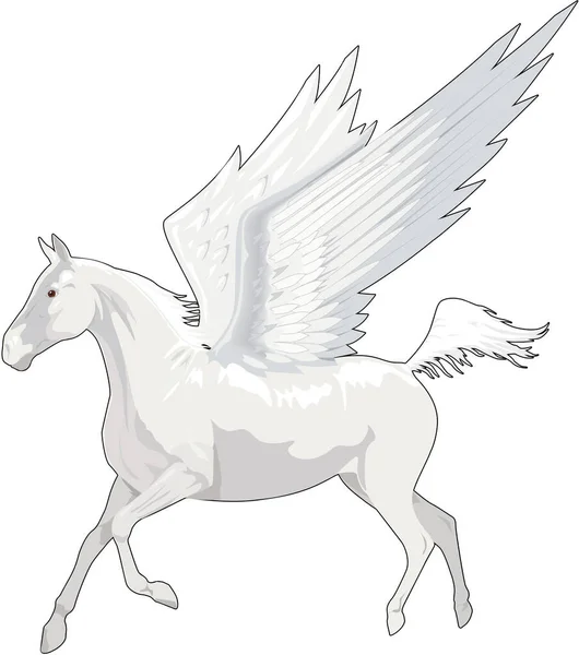 Pegasus Flying Vector Illustration — Stock Vector
