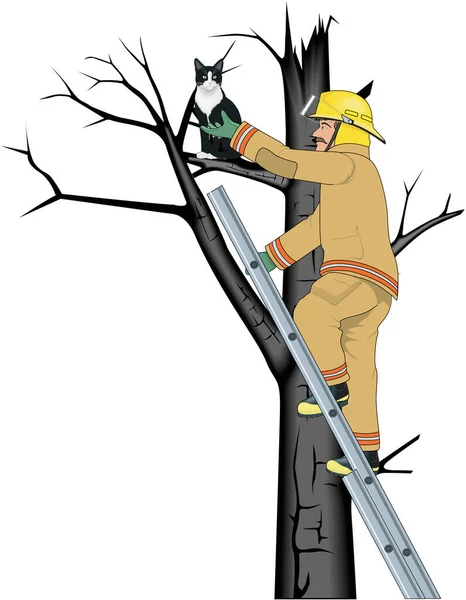 Feuerwehr Rettet Katze Vector Illustration — Stockvektor