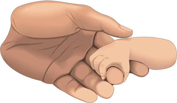 Bebeğin Eli Tutuşan Parmak Vektörü Llüstrasyonu — Stok Vektör