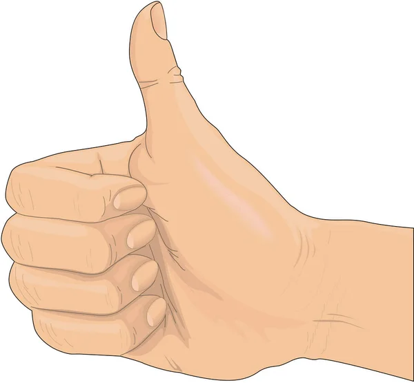 Thumbs Sign Vector Εικονογράφηση — Διανυσματικό Αρχείο