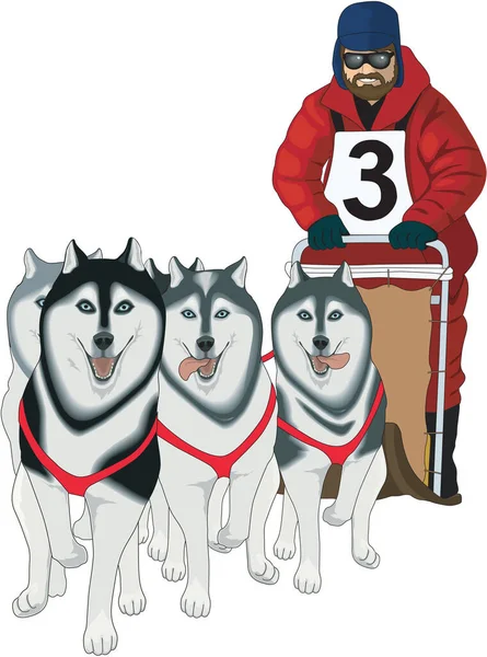 Dog Sled Racing Vector Illustration — Vector de stoc