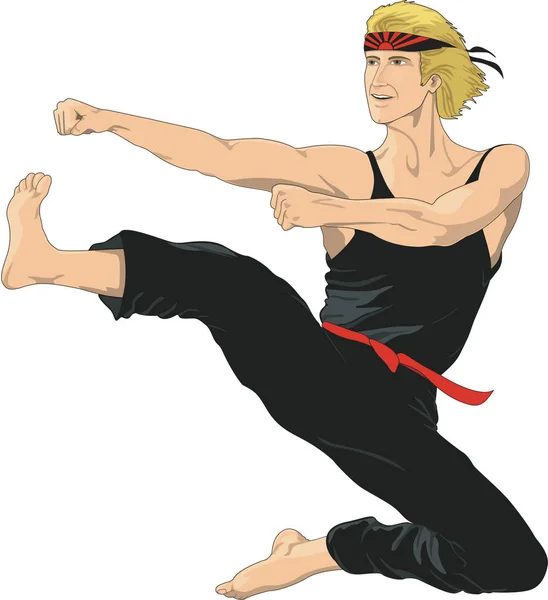 Illustrazione Del Vettore Del Combattente Karate — Vettoriale Stock