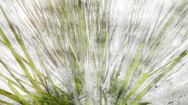 metin için alanı olan grunge arkaplanı