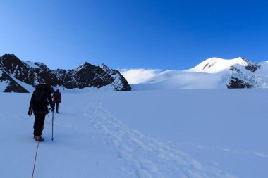 Halat ekibi buzul Taschachferner üzerindeki kramponlarla dağcılık yapıyor Wildspitze 'ye doğru ve Avusturya' nın Tyrol Alps şehrinde mavi gökyüzü olan dağ kar panoramasına doğru.