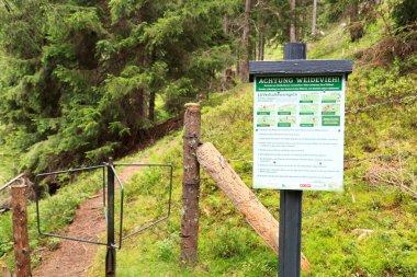 Avusturya, Salzburgerland 'da otlayan hayvanların davranışlarını açıklayan tabela ile dağlık ormanda yürüyüş yolu.