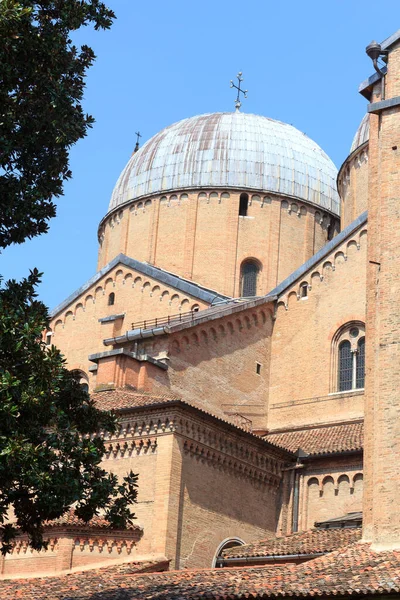 Dome Church Pontifical Basilica Saint Anthony Padua Italy — 스톡 사진