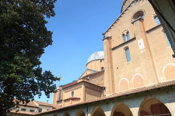 이탈리아 파도바 안토니우스 성당에 리아의 — 스톡 사진