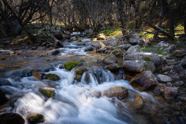 Nehir taşların arasından akar ve küçük şelaleler oluşturur, Rascafria, Madrid, İspanya