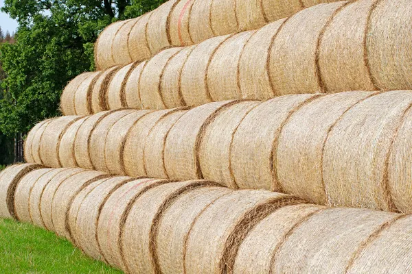 Stacked Straw Bales Close View — Stock Photo, Image