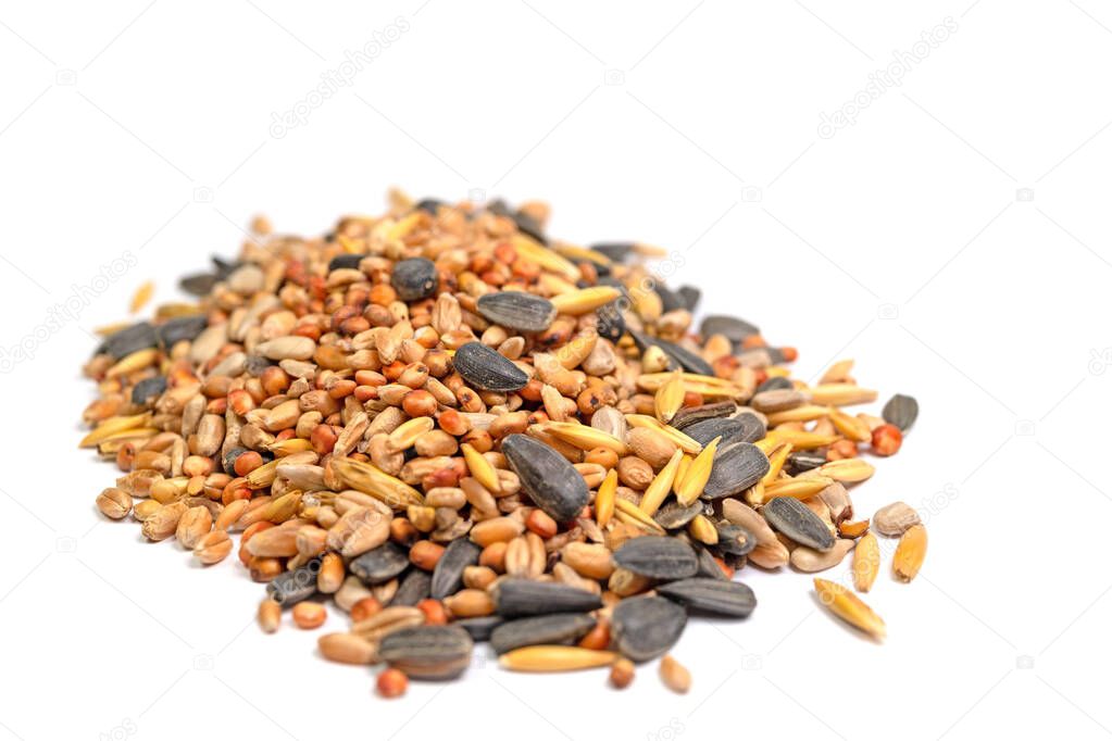 Mixed winter feed for birds against white background