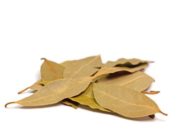Kurumuş körfez yaprakları beyaz arka planda