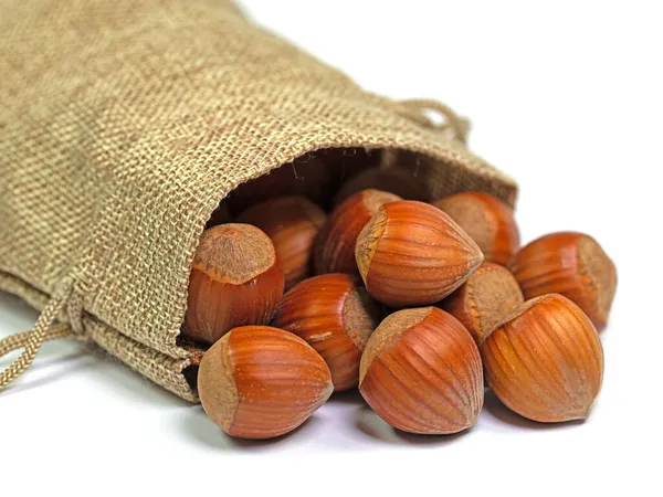 Hazelnuts Jute Bag White Background — Stock Photo, Image