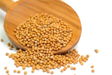 Tahta kaşıkta hardal tohumları beyaz arka planda