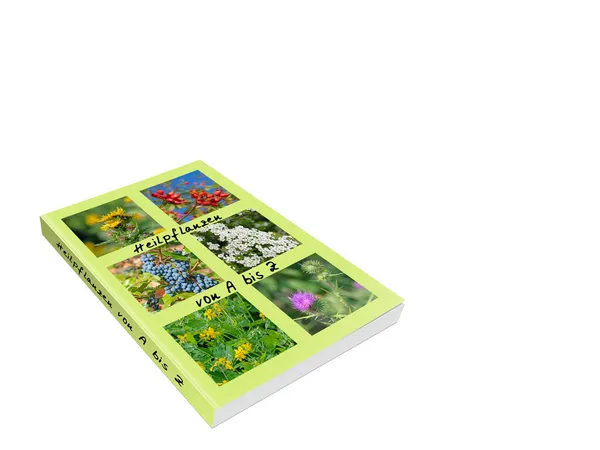 Kniha Heilpflanzen Překlad Léčivé Rostliny Proti Bílému Pozadí Ilustrace — Stock fotografie
