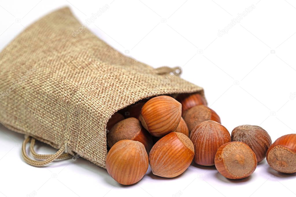 Hazelnuts in a jute bag against a white background