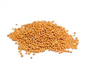 Beyaz arkaplana karşı hardal tohumları