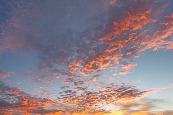Artçı Altokümülüs Bulutlu Gökyüzü — Stok fotoğraf
