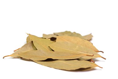 Kurumuş körfez yaprakları beyaz arka planda