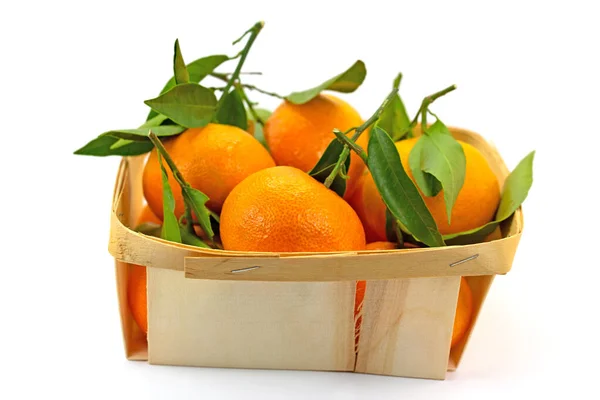 Mandarins Basket White Background — Fotografia de Stock