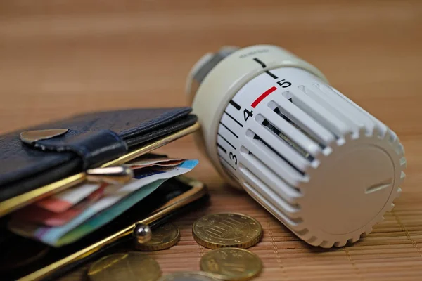 Thermostat Purse Symbolic Heating Costs — Stock Photo, Image