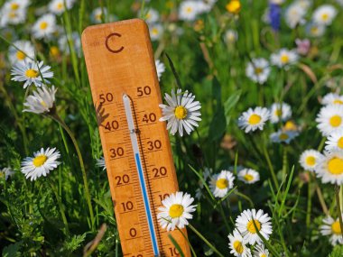Thermometer on a flower meadow in the summer heat