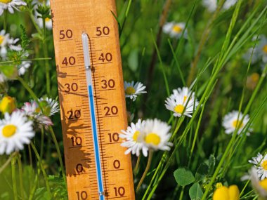 Thermometer on a flower meadow in the summer heat