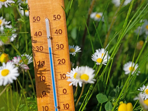 Термометр Квітковому Лузі Літню Спеку — стокове фото