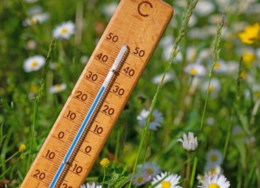 Thermometer on a flower meadow in the summer heat