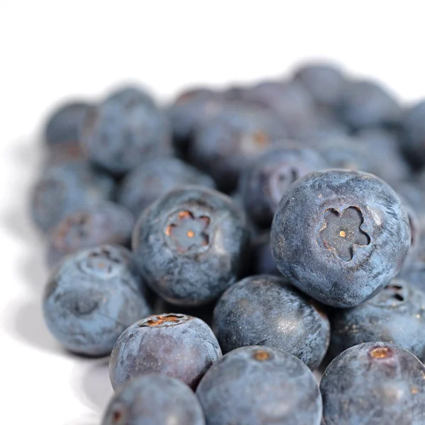 Blueberries Vaccinium Corymbosum Closeup — Stockfoto
