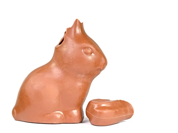 在白色背景前破碎的巧克力兔 — 图库照片
