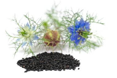 Siyah kimyon tohumları, Nigella sativa