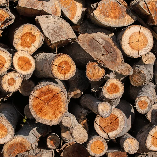 Stacked Firewood Closeup — Photo