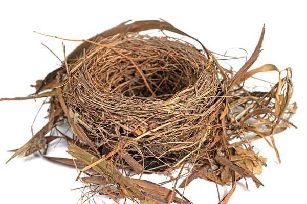 Bird Nest White Background Closeup — стоковое фото