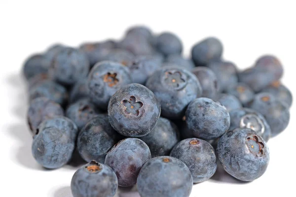 Blueberries Vaccinium Corymbosum Closeup — Foto Stock