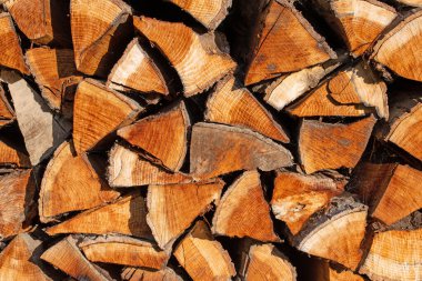 Yakın planda yakılacak odun yığını.