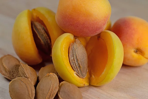 Apricot Kernels Apricots Closeup — Stock fotografie