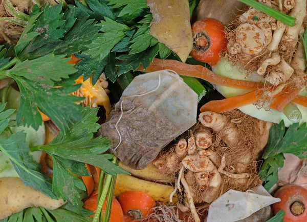 Organic waste, kitchen waste for composting