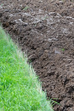 Son çizgilerle sürülmüş tarlalar