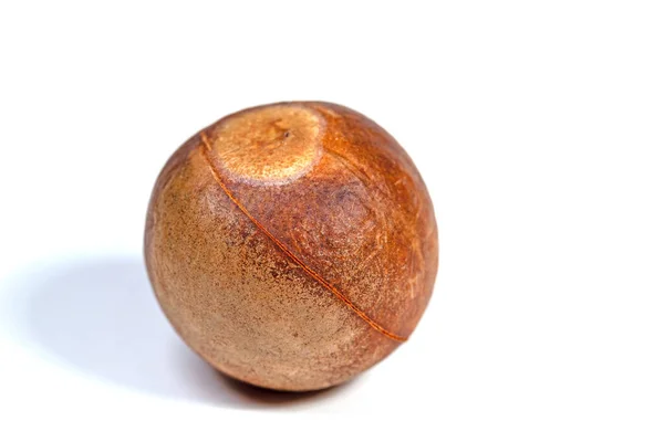 Avokado Çekirdeği Beyaz Arkaplanda Izole Edildi — Stok fotoğraf