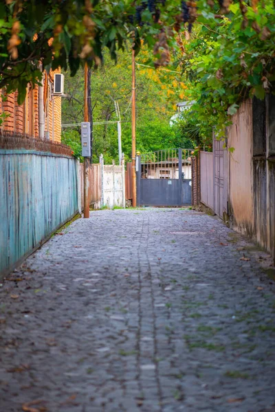 Útulná dlážděná ulice v kutaisi v georgii — Stock fotografie