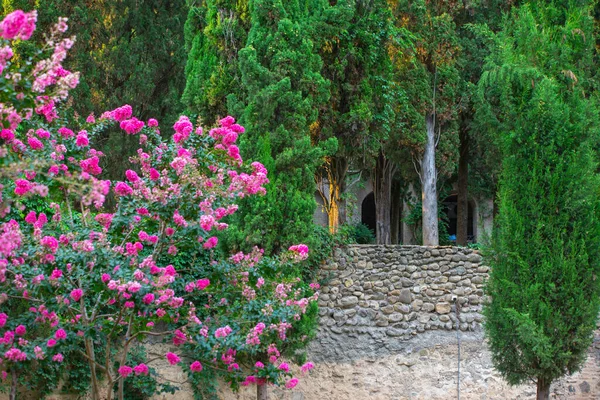 Hermoso callejón en el monasterio de Bodbe cerca de Sighnaghi en Georgia — Foto de Stock