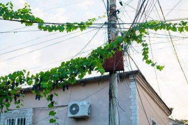 Kutaisi sokaklarında elektrik kabloları var. Yüksek kalite fotoğraf